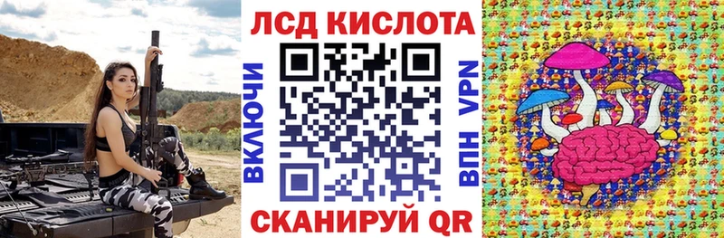 Марки N-bome 1500мкг  hydra сайт  Новоржев  закладка 