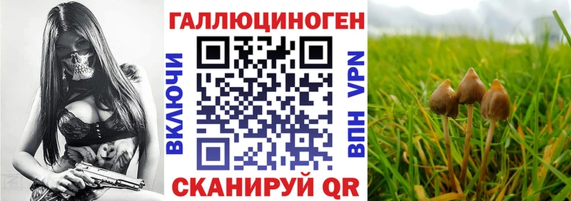 Галлюциногенные грибы прущие грибы  Новоржев 
